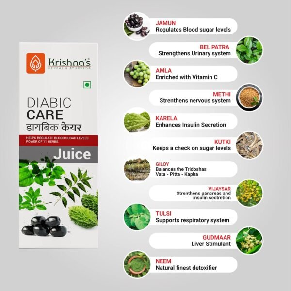 KRISHNA'S HERBAL & AYURVEDA Diabic Care Juice - 500 ml (Pack of 2)