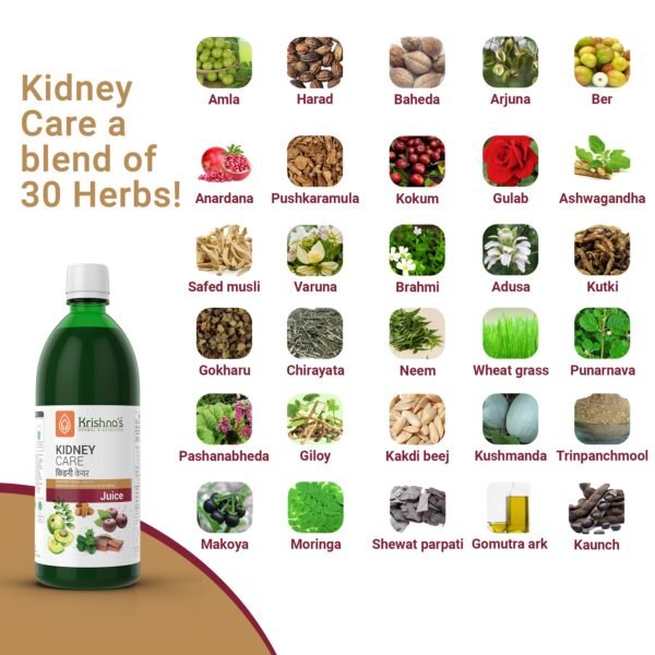 Kidney Care Juice – 1000 ml | Ayurvedic Kidney Support with Anti-inflammatory & Detox Benefits